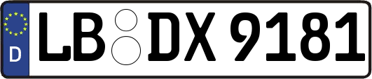 LB-DX9181