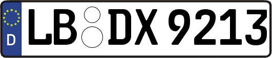 LB-DX9213