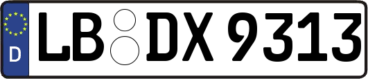 LB-DX9313