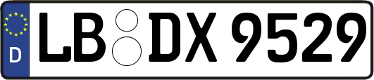 LB-DX9529
