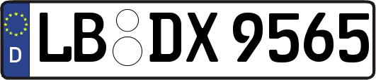 LB-DX9565