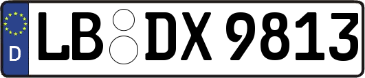 LB-DX9813