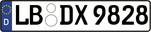 LB-DX9828