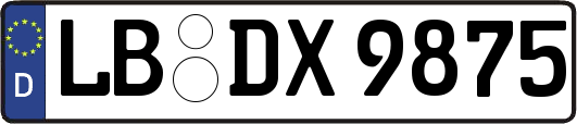 LB-DX9875