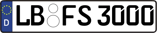 LB-FS3000