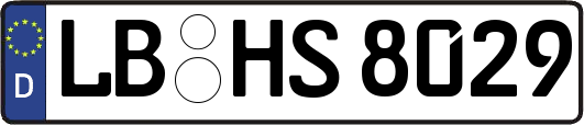 LB-HS8029