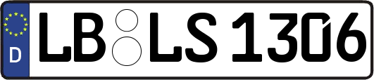 LB-LS1306