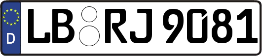 LB-RJ9081