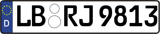 LB-RJ9813