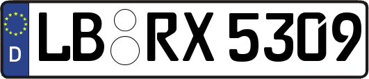 LB-RX5309