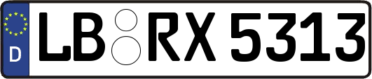 LB-RX5313