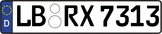LB-RX7313