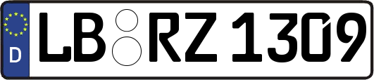 LB-RZ1309