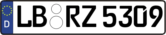 LB-RZ5309
