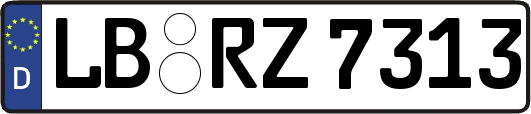 LB-RZ7313