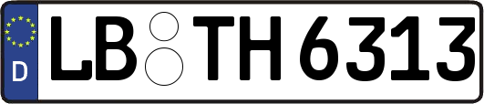 LB-TH6313
