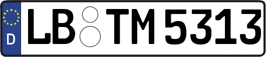 LB-TM5313