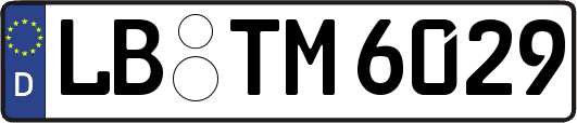 LB-TM6029