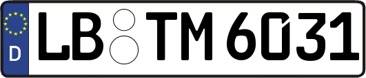LB-TM6031