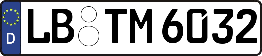 LB-TM6032