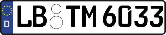 LB-TM6033