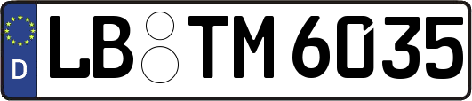 LB-TM6035