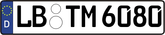 LB-TM6080