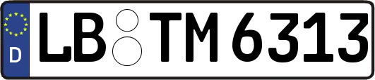 LB-TM6313