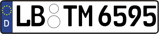 LB-TM6595