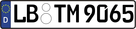 LB-TM9065