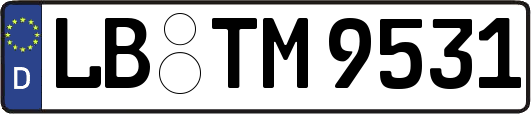 LB-TM9531