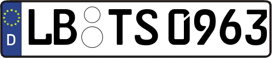 LB-TS0963