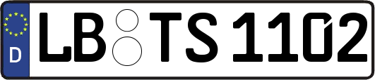 LB-TS1102
