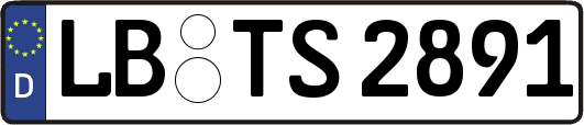 LB-TS2891