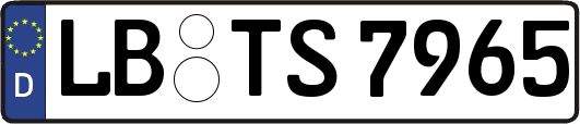 LB-TS7965