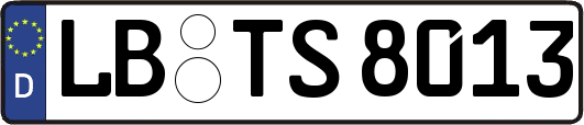 LB-TS8013