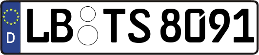 LB-TS8091