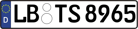 LB-TS8965