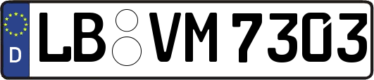 LB-VM7303