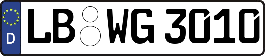 LB-WG3010