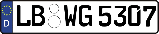 LB-WG5307