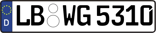 LB-WG5310