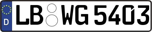 LB-WG5403
