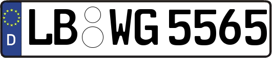 LB-WG5565