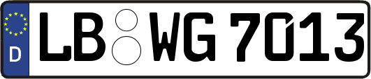 LB-WG7013