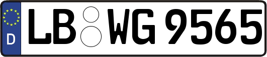 LB-WG9565