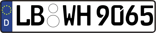LB-WH9065