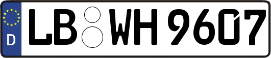 LB-WH9607