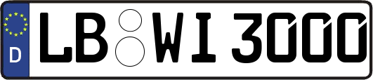LB-WI3000