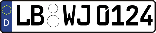 LB-WJ0124